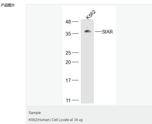 6052c0ead1ecb.png image.png