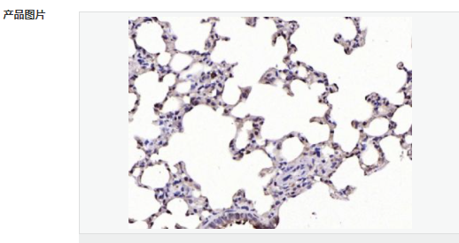 6054375d27be0.png image.png