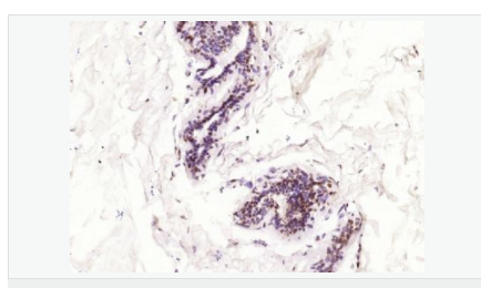 605460fc75dba.png image.png