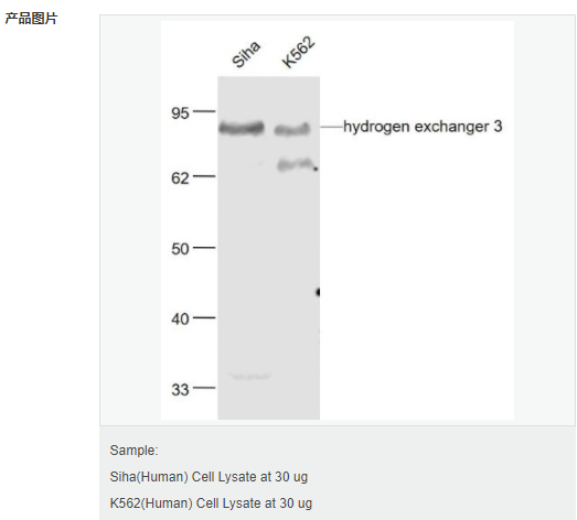 6057fde6c442b.png image.png