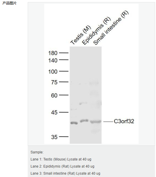 605940183f6fc.png image.png