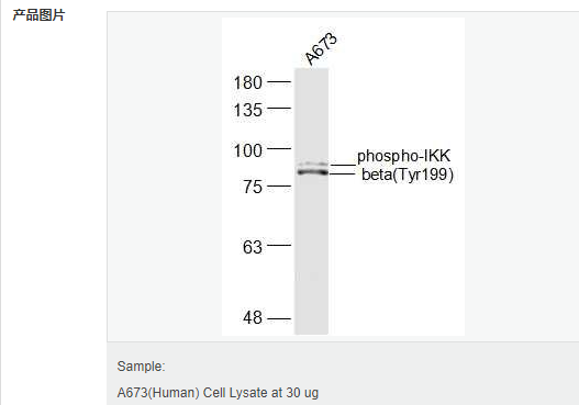 6059a7489ed4f.png image.png