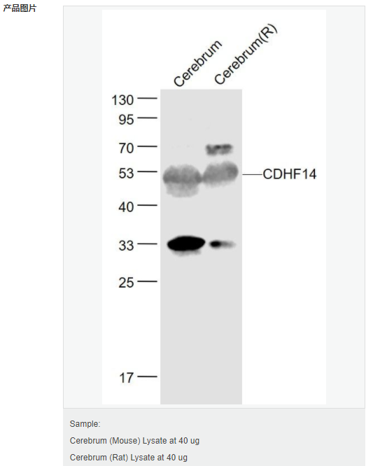 60657690724d2.png image.png