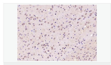 60667956bb298.png image.png