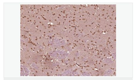 606bc9b08d5a0.png image.png