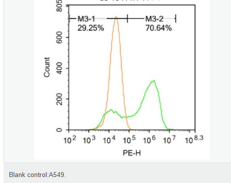 6078e87ed7874.png image.png