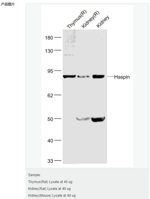 607955b833562.png image.png